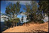 Sleeping Bear 145.JPG