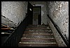 IMG_7263.JPG