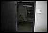 IMG_7274.JPG