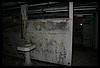 IMG_7277.JPG