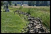 IMG_2193.jpg