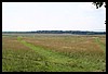 IMG_2194.jpg