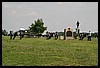 IMG_2195.jpg