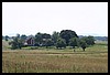 IMG_2196.jpg