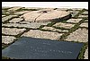 IMG_2203.jpg
