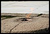 IMG_2205.jpg
