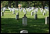 IMG_2220.jpg