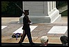 IMG_2225.jpg