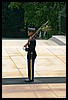 IMG_2229.jpg