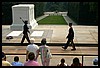 IMG_2232.jpg