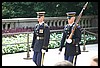 IMG_2237.jpg