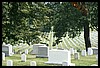 IMG_2257.jpg