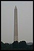 IMG_2284.jpg
