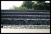 IMG_2302.jpg