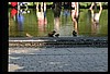 IMG_2309.jpg