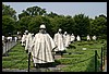 IMG_2310.jpg