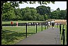 IMG_2328.jpg