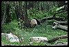 IMG_2430.JPG