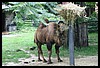 IMG_2444.JPG