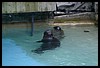 IMG_2447.JPG