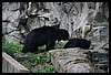 IMG_2452.JPG