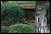 IMG_2459.JPG
