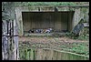 IMG_2463.JPG