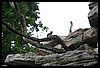IMG_2470.JPG