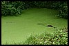 IMG_2474.JPG