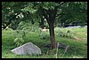 IMG_2478.JPG