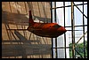 IMG_2507.JPG