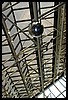 IMG_2509.JPG