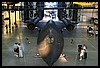 IMG_2519.JPG