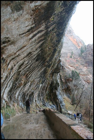 Zion NP Thanksgiving Family Reunion 2007-003.JPG