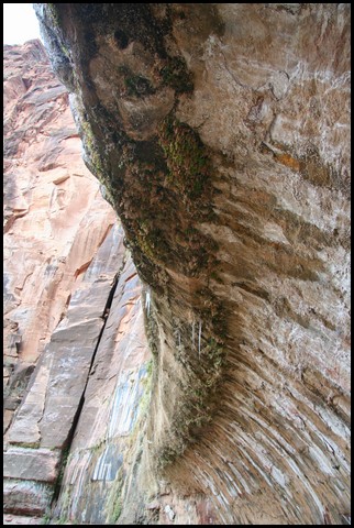 Zion NP Thanksgiving Family Reunion 2007-005.JPG