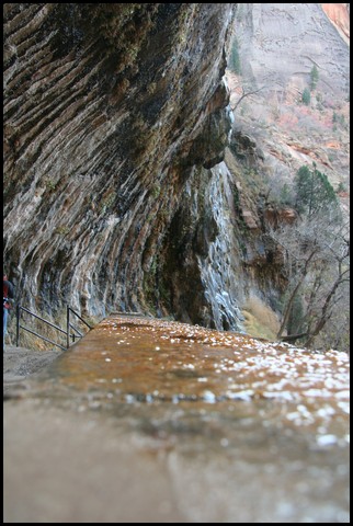 Zion NP Thanksgiving Family Reunion 2007-006.JPG