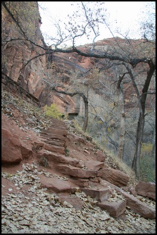 Zion NP Thanksgiving Family Reunion 2007-015.JPG