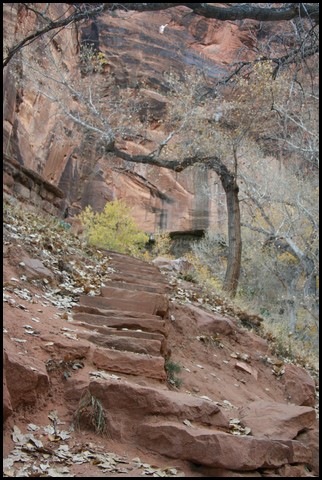 Zion NP Thanksgiving Family Reunion 2007-016.JPG