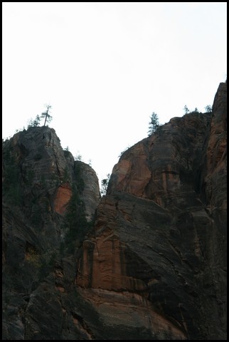 Zion NP Thanksgiving Family Reunion 2007-019.JPG