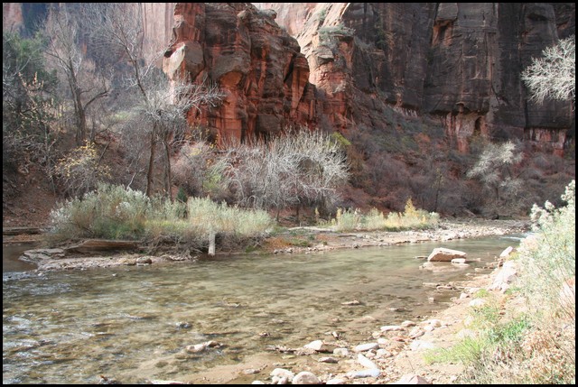 Zion NP Thanksgiving Family Reunion 2007-035.JPG