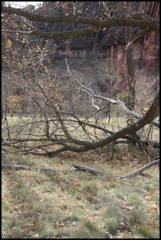 Zion NP Thanksgiving Family Reunion 2007-040.JPG