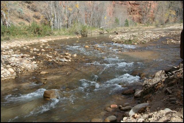 Zion NP Thanksgiving Family Reunion 2007-044_2.JPG