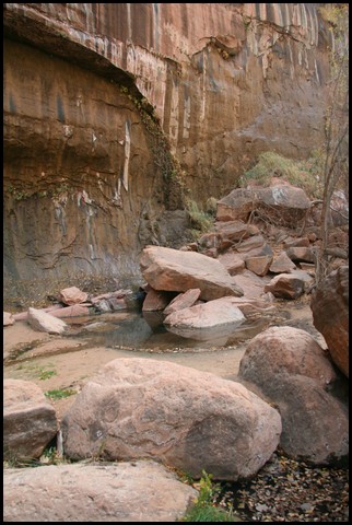 Zion NP Thanksgiving Family Reunion 2007-054.JPG