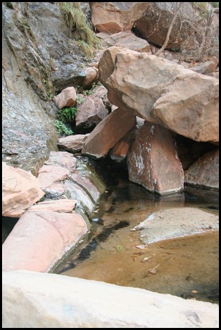 Zion NP Thanksgiving Family Reunion 2007-057.JPG
