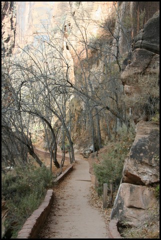 Zion NP Thanksgiving Family Reunion 2007-063.JPG