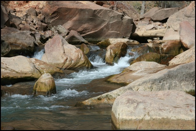 Zion NP Thanksgiving Family Reunion 2007-083.JPG