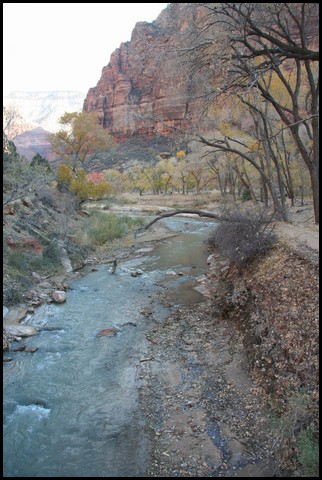 Zion NP Thanksgiving Family Reunion 2007-106.JPG