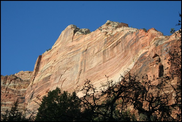 Zion NP Thanksgiving Family Reunion 2007-107.JPG