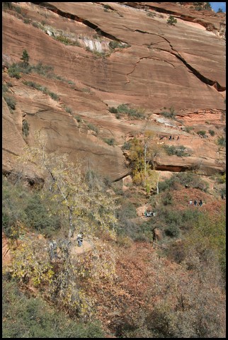 Zion NP Thanksgiving Family Reunion 2007-115.JPG