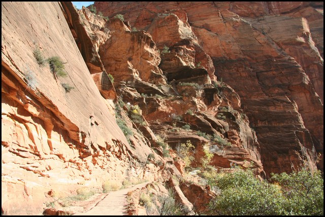 Zion NP Thanksgiving Family Reunion 2007-119.JPG